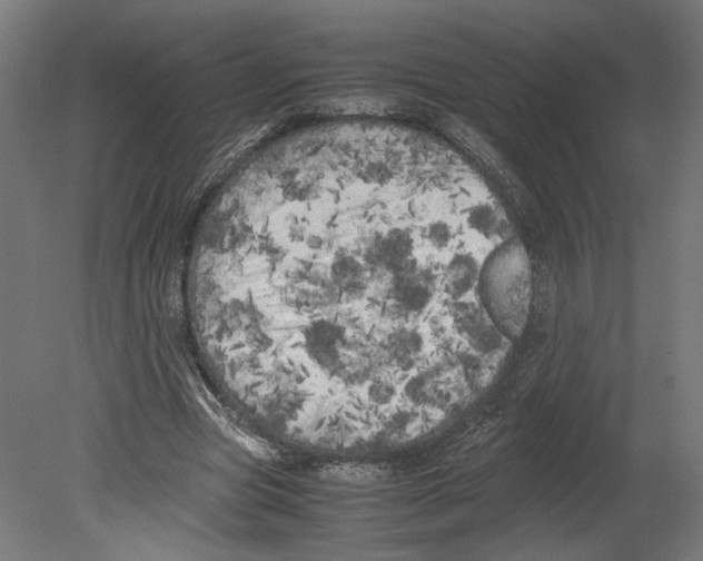 X0000080700537200701121754