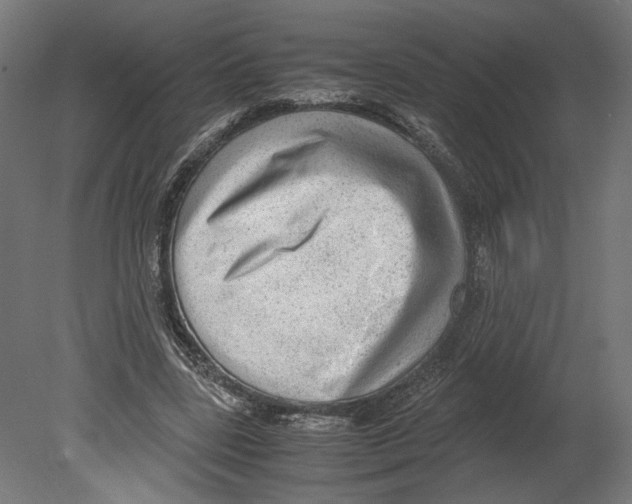 X0000080700539200701121754