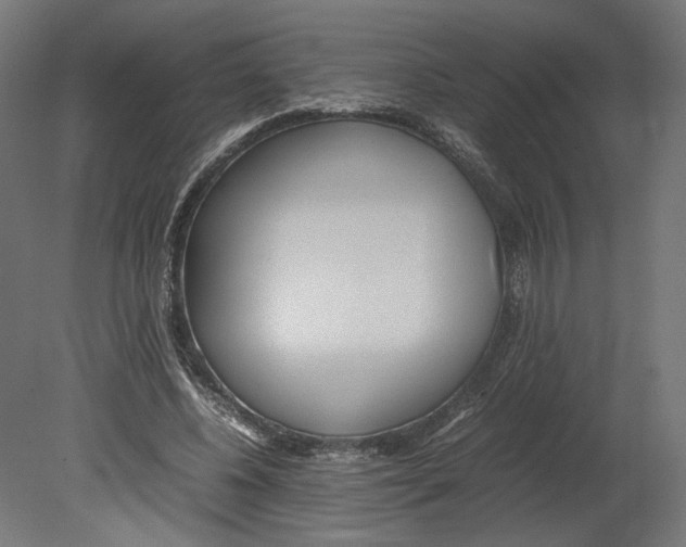 X0000080700540200701121754