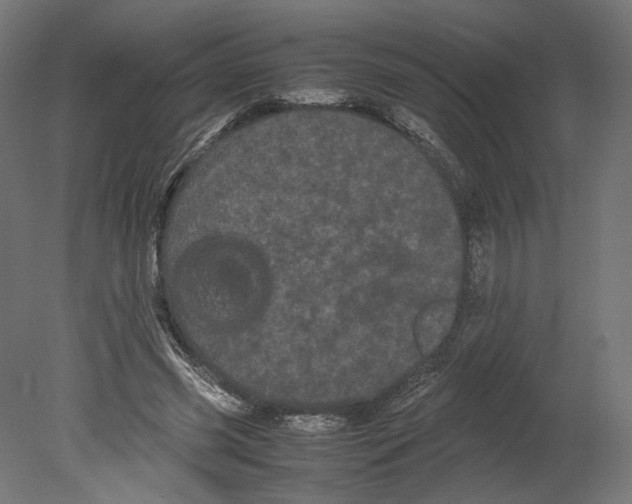 X0000080700541200701121754