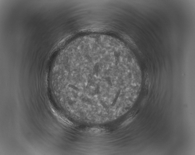 X0000080700542200701121754