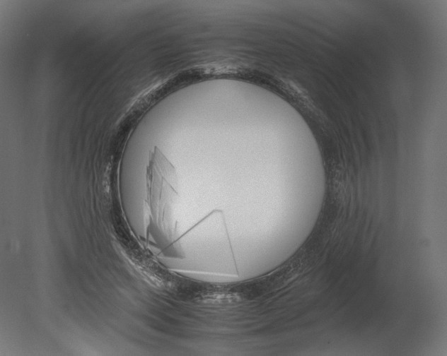 X0000080700543200701121754