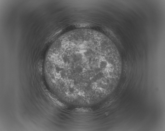 X0000080700545200701121754