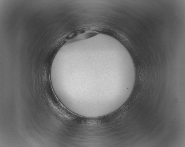 X0000080700546200701121754