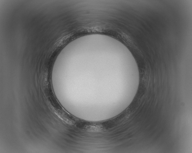 X0000080700548200701121754