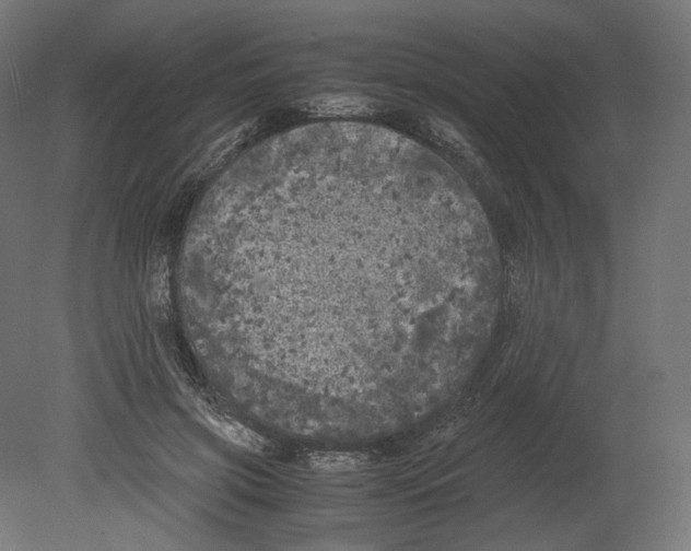 X0000080700549200701121754