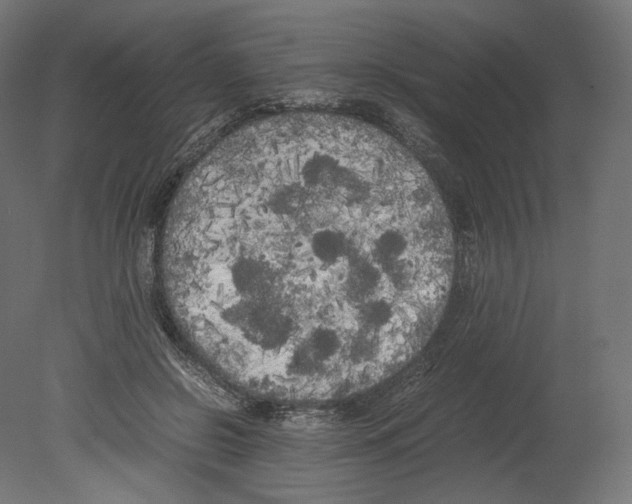 X0000080700550200701121754