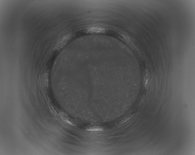 X0000080700551200701121754