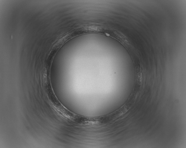 X0000080700552200701121754