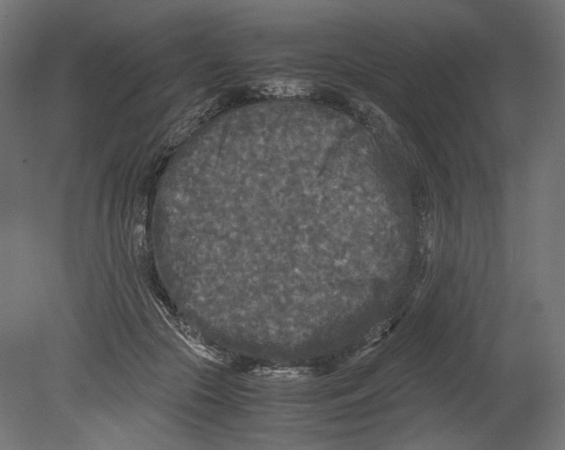 X0000080700553200701121754