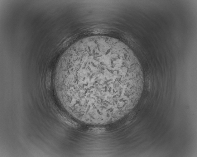 X0000080700554200701121754