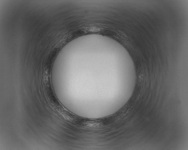 X0000080700555200701121754