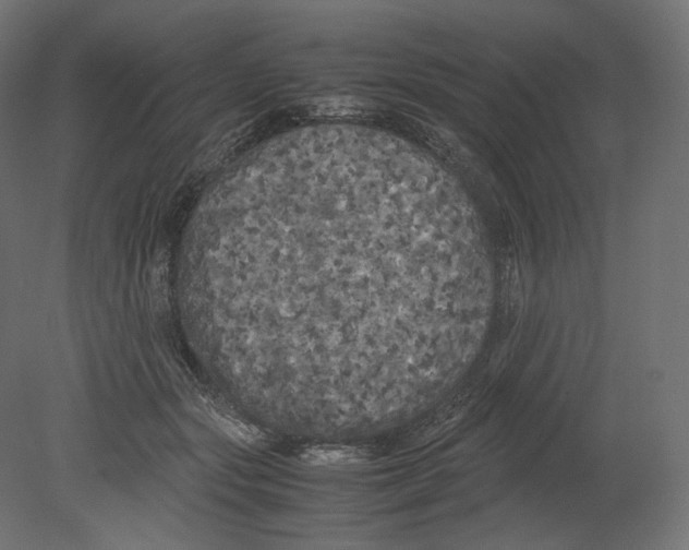 X0000080700557200701121754