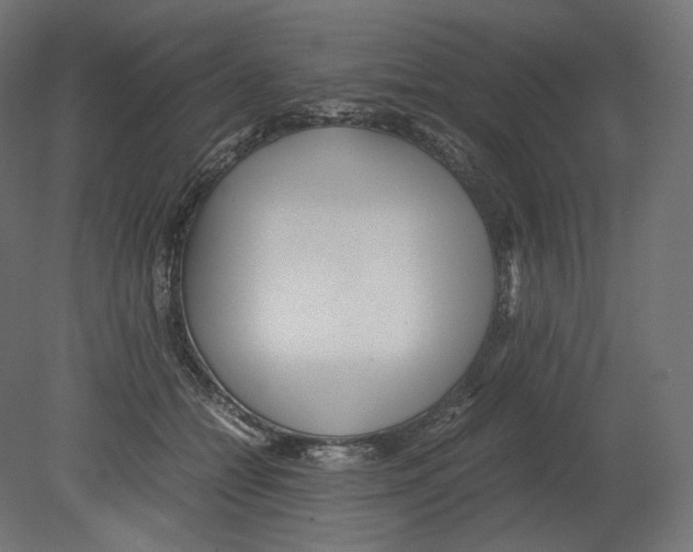 X0000080700558200701121754