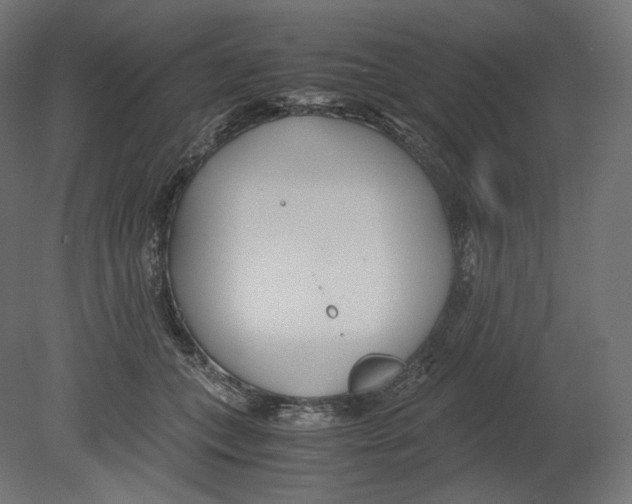 X0000080700559200701121754