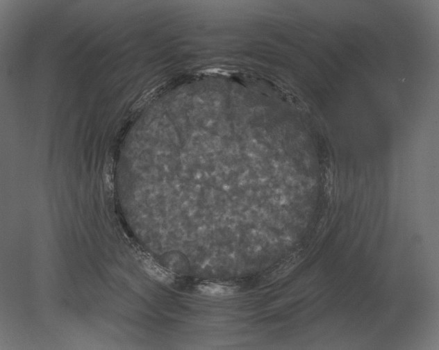 X0000080700561200701121754