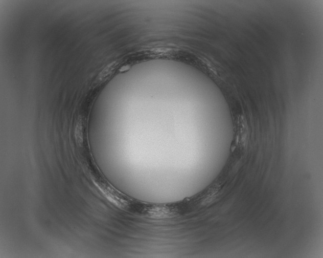 X0000080700562200701121754