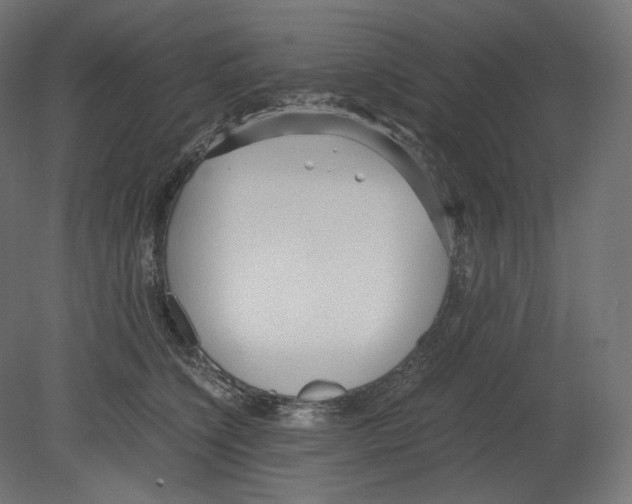 X0000080700564200701121754