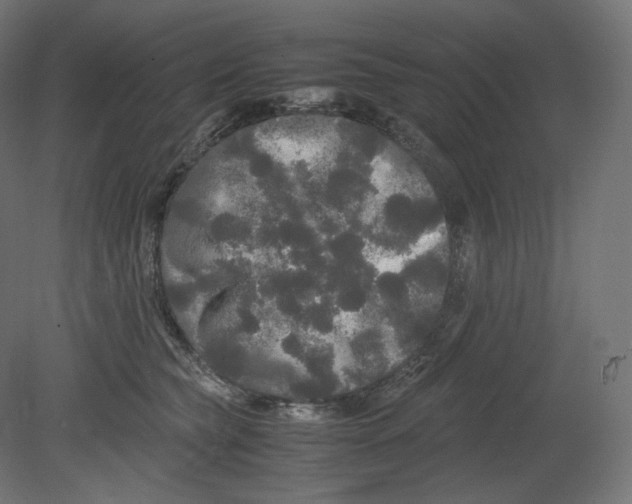 X0000080700565200701121754