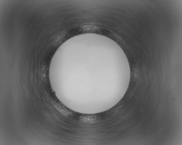 X0000080700567200701121754