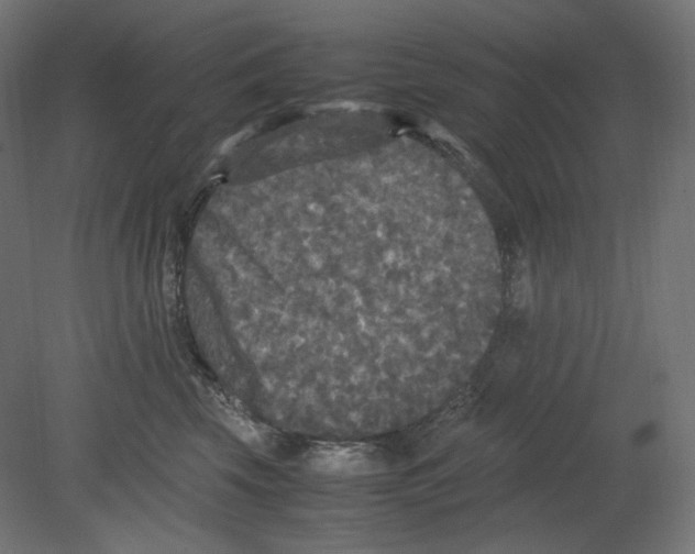 X0000080700569200701121754