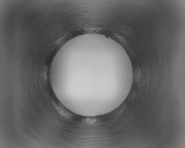 X0000080700570200701121754