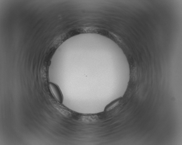 X0000080700571200701121754