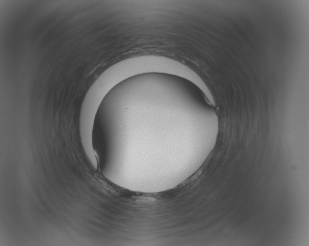 X0000080700572200701121754