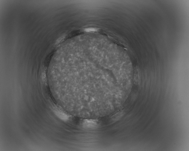 X0000080700573200701121754