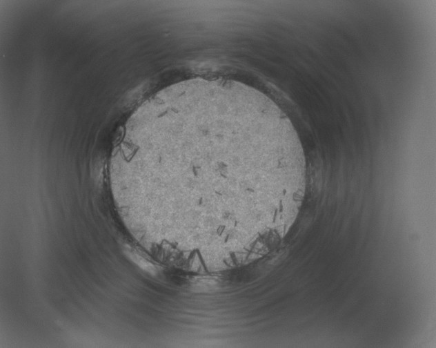 X0000080700574200701121754