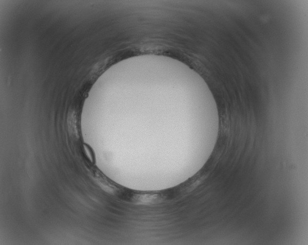 X0000080700575200701121754