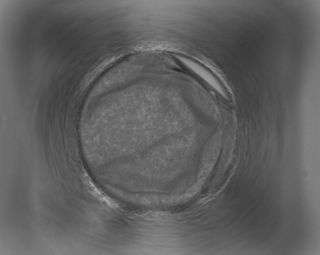 X0000080700577200701121754