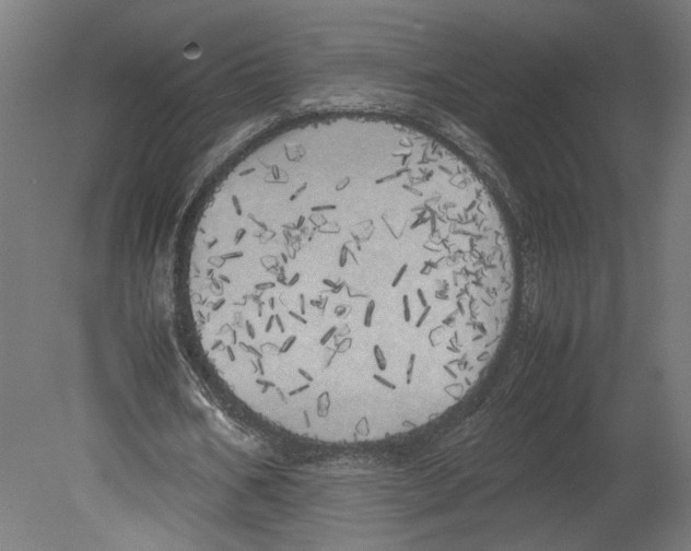 X0000080700578200701121754