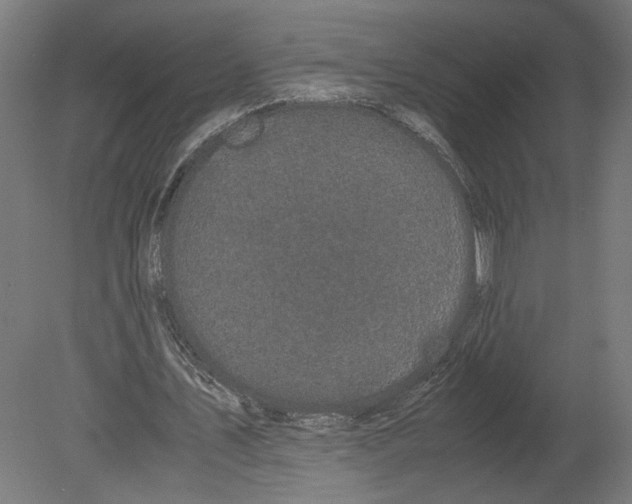 X0000080700579200701121753