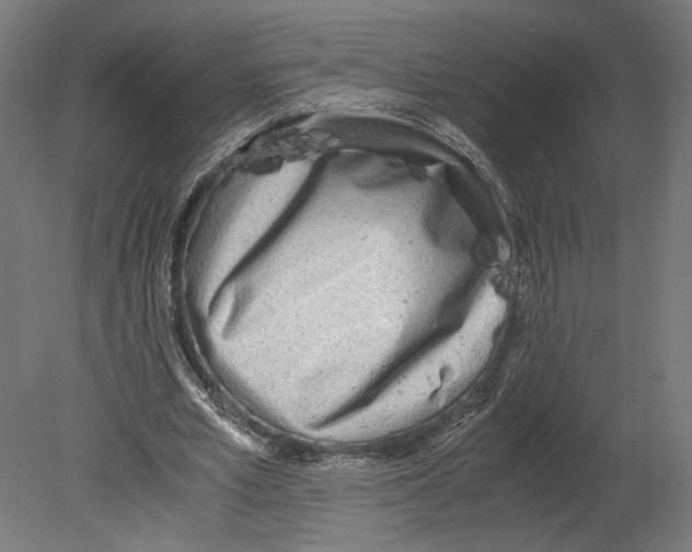 X0000080700581200701121753