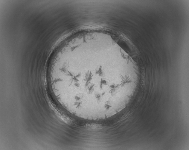 X0000080700582200701121753