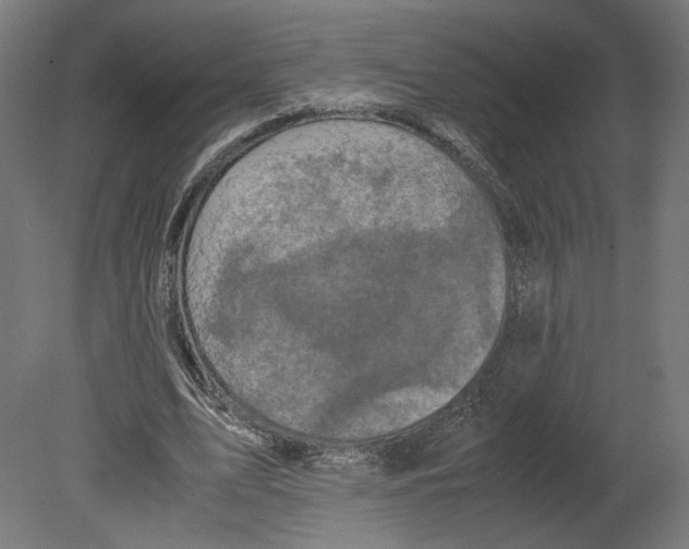 X0000080700583200701121753