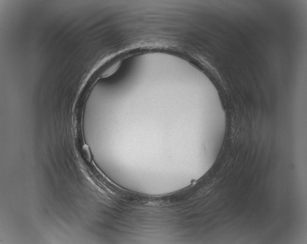 X0000080700584200701121753