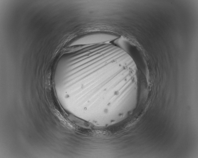 X0000080700585200701121753