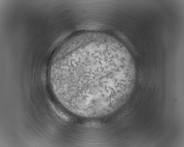 X0000080700586200701121753