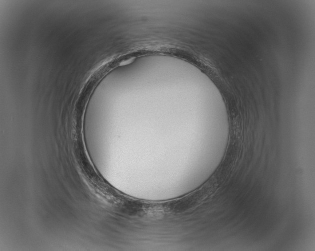 X0000080700587200701121753