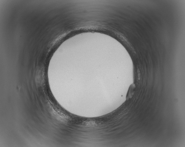 X0000080700588200701121753