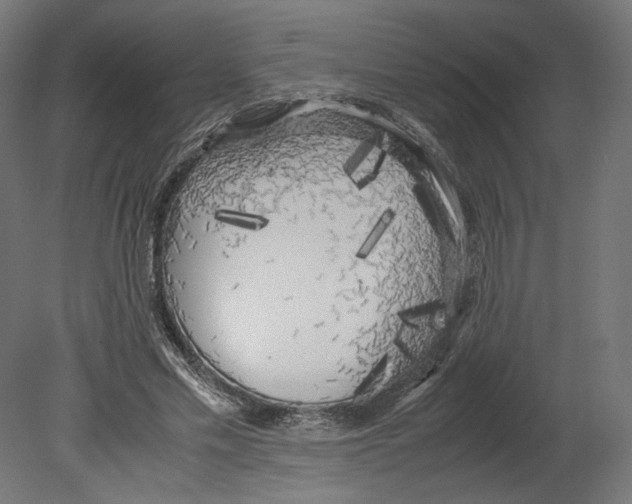 X0000080700589200701121753