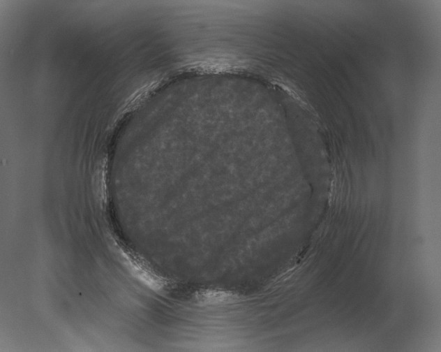 X0000080700590200701121753