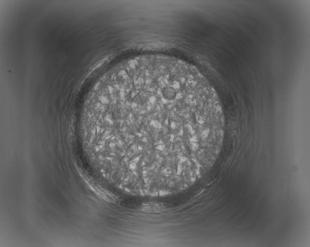 X0000080700591200701121753