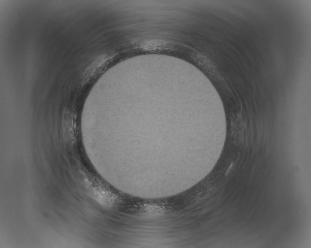 X0000080700592200701121753