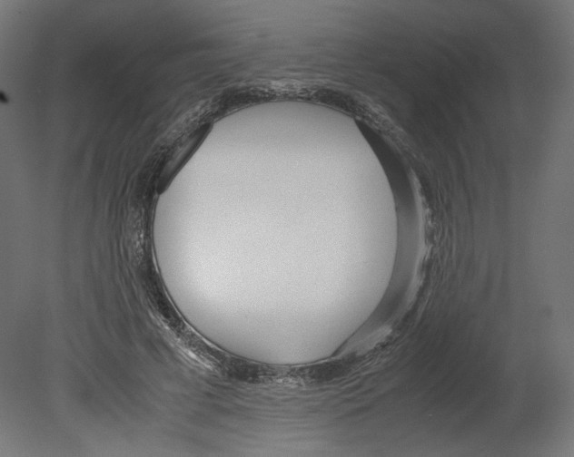 X0000080700593200701121753