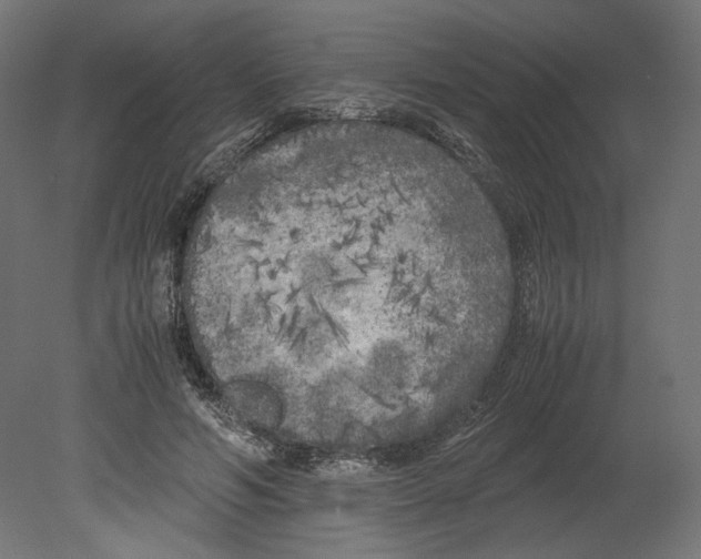 X0000080700594200701121753