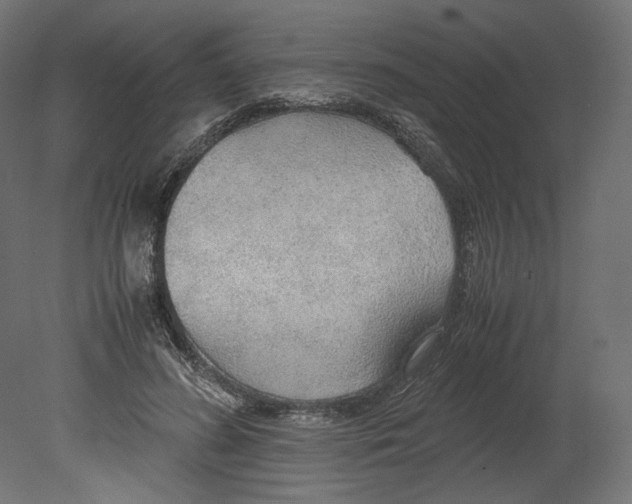 X0000080700596200701121753