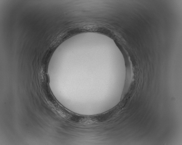 X0000080700597200701121753